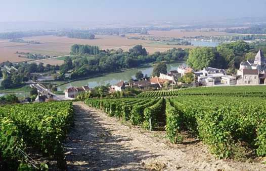 Le Clos Corbier Mareuil-sur-Ay Kültér fotó