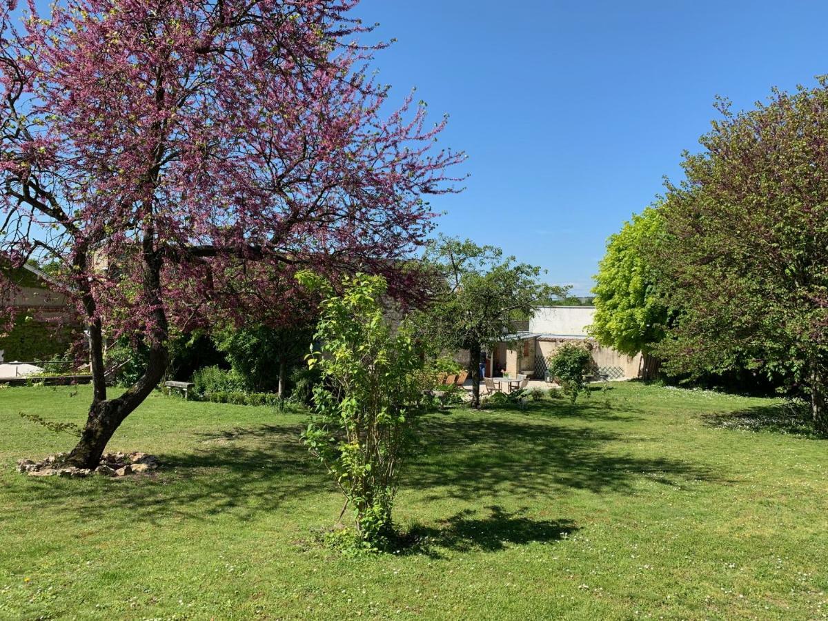 Le Clos Corbier Mareuil-sur-Ay Kültér fotó